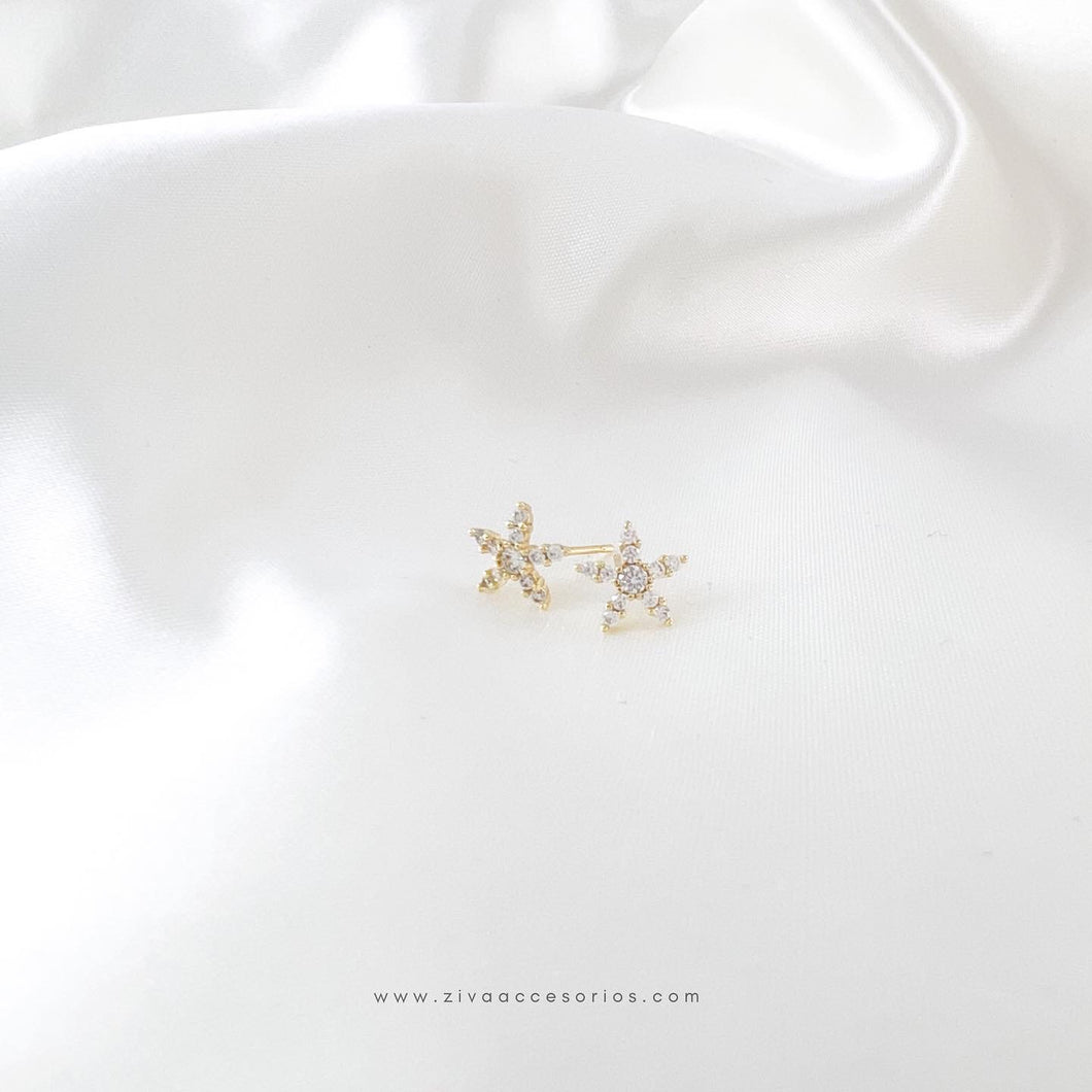 Broquel Estrella Zirconias