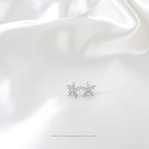 Broquel Estrella Zirconias